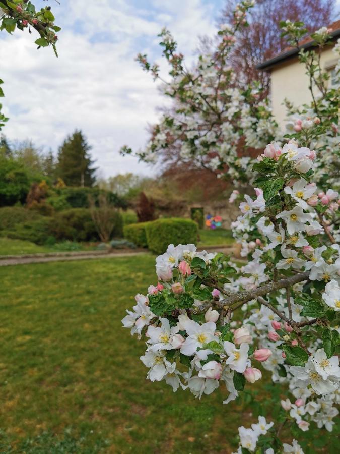 Chambres D'Hotes La Tuilerie Blainville-sur-l'Eau ภายนอก รูปภาพ