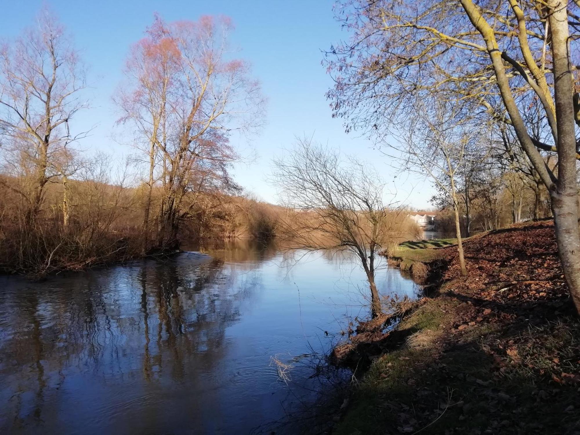 Chambres D'Hotes La Tuilerie Blainville-sur-l'Eau ภายนอก รูปภาพ